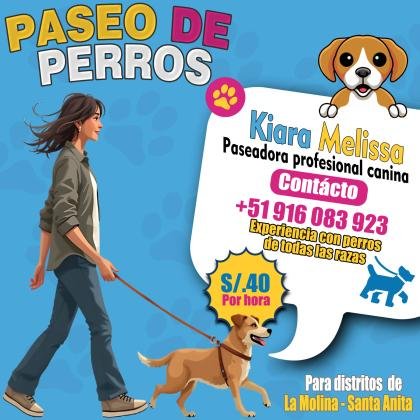 Paseadora de Perros - Paseadora profesional canina.